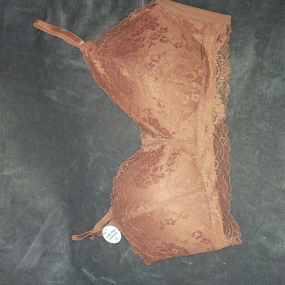 Withered Rose colored bra